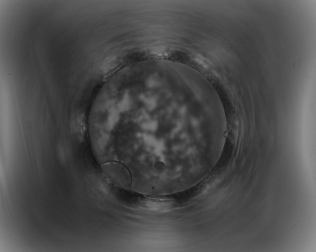 X0000087330707200704201128