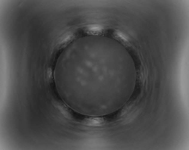 X0000087330711200704201128