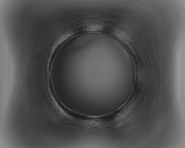 X0000087330721200704201127
