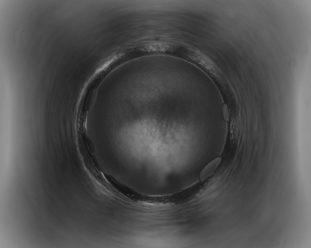 X0000087330722200704201127