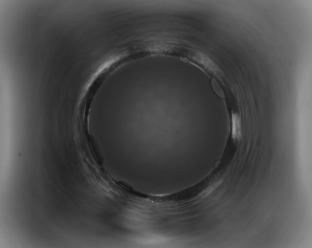 X0000087330723200704201127