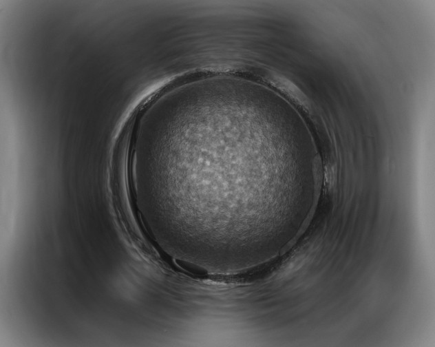 X0000087330724200704201127
