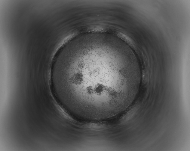 X0000087330725200704201127