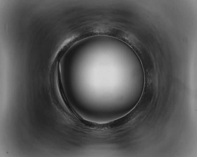 X0000087330727200704201127