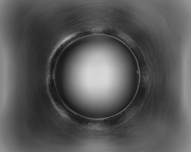 X0000087330728200704201127
