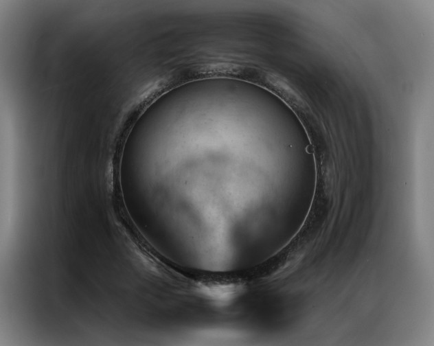 X0000087330729200704201127