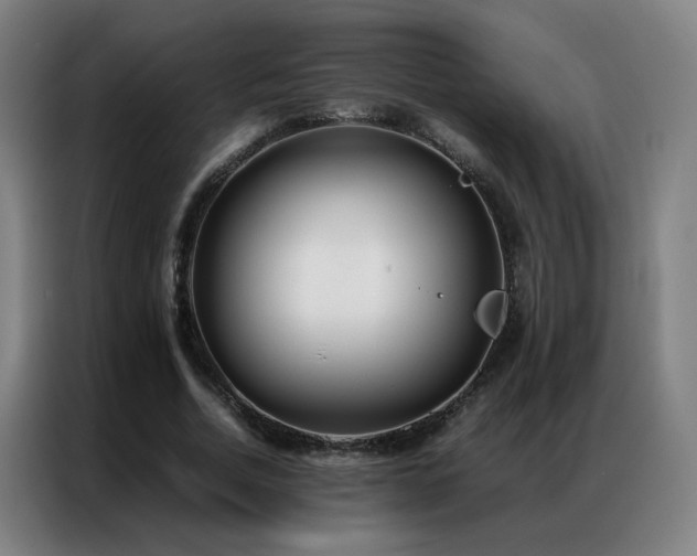 X0000087330730200704201127