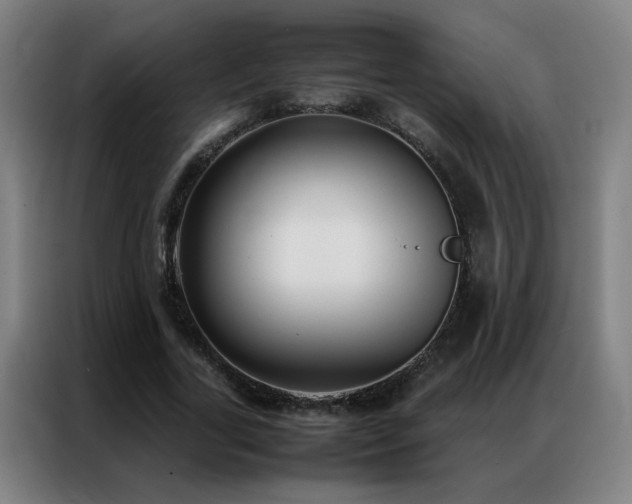 X0000087330731200704201127