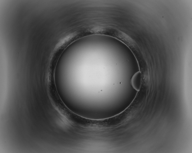 X0000087330732200704201127