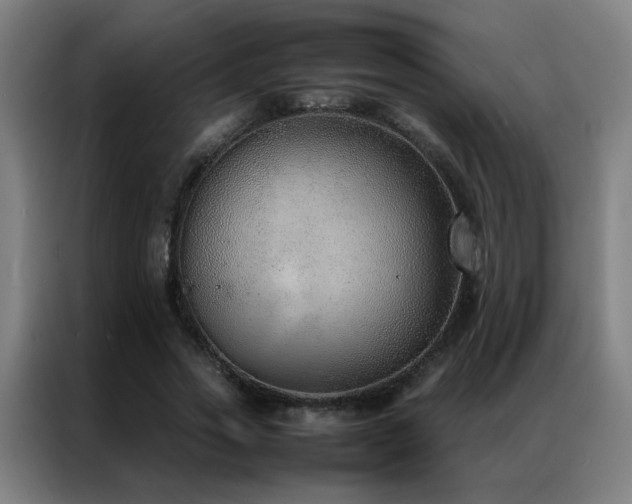 X0000087330733200704201127