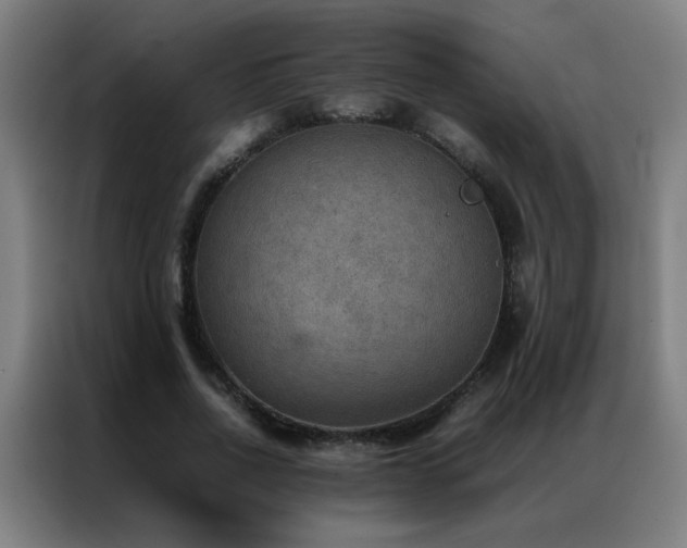 X0000087330734200704201127