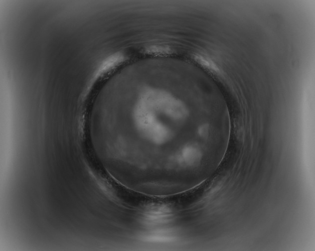 X0000087330735200704201127