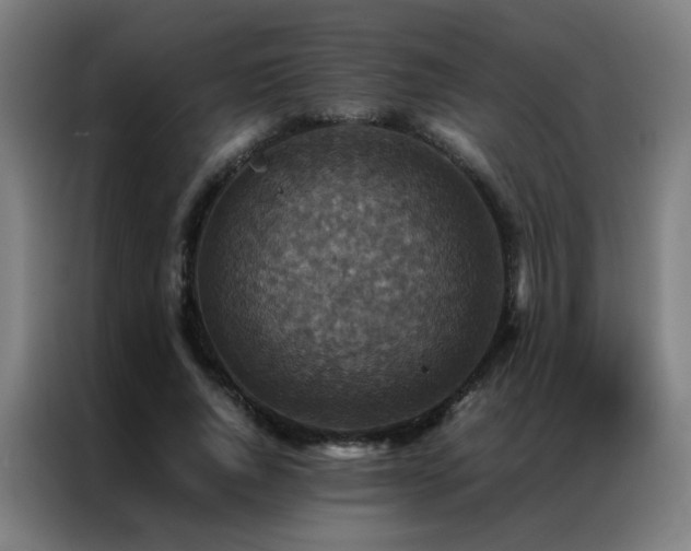 X0000087330736200704201127