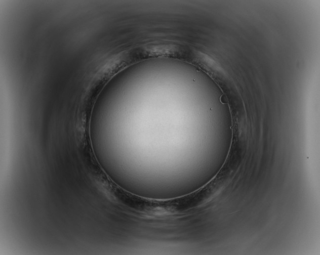 X0000087330737200704201127