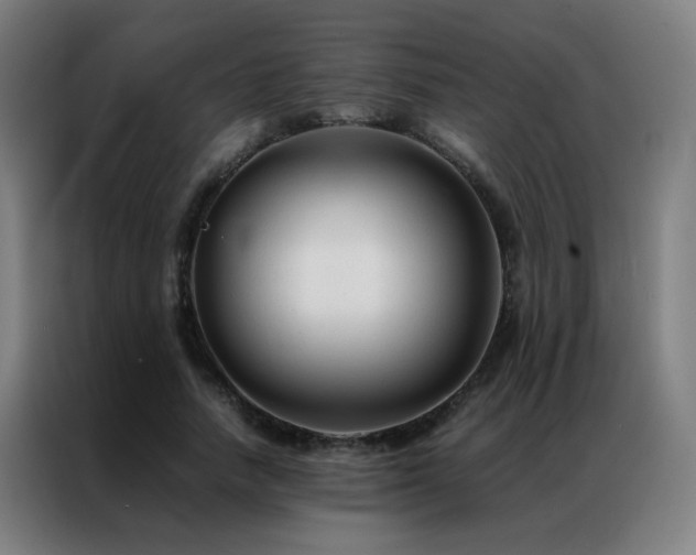 X0000087330738200704201127