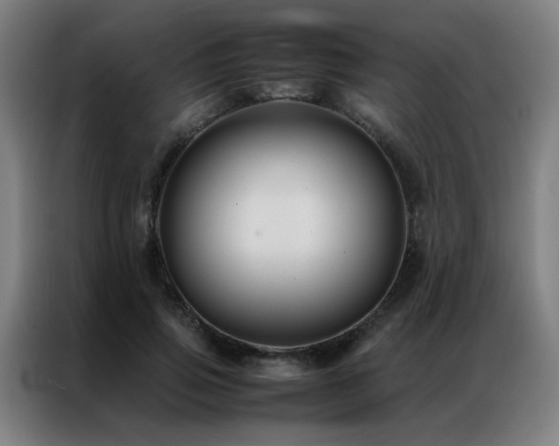 X0000087330741200704201127