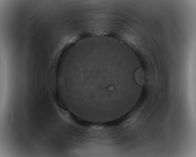 X0000087330742200704201127