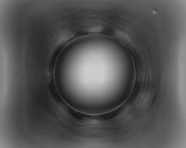 X0000087330743200704201127