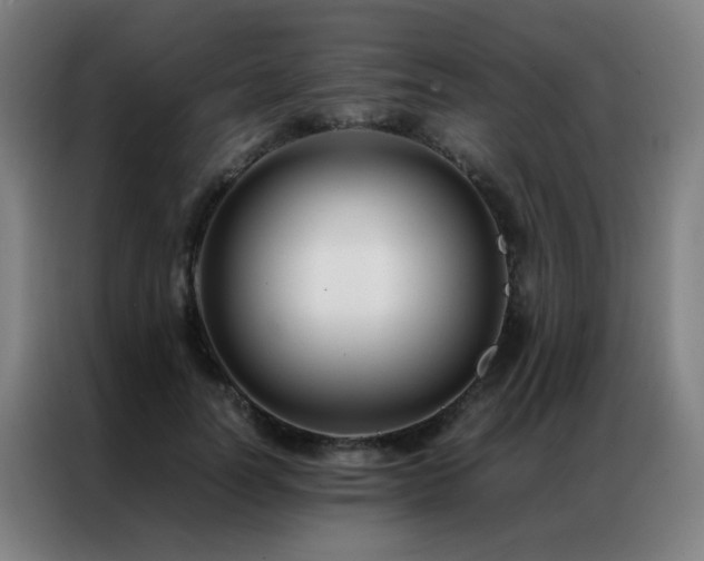 X0000087330746200704201127