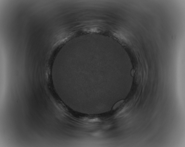 X0000087330747200704201127