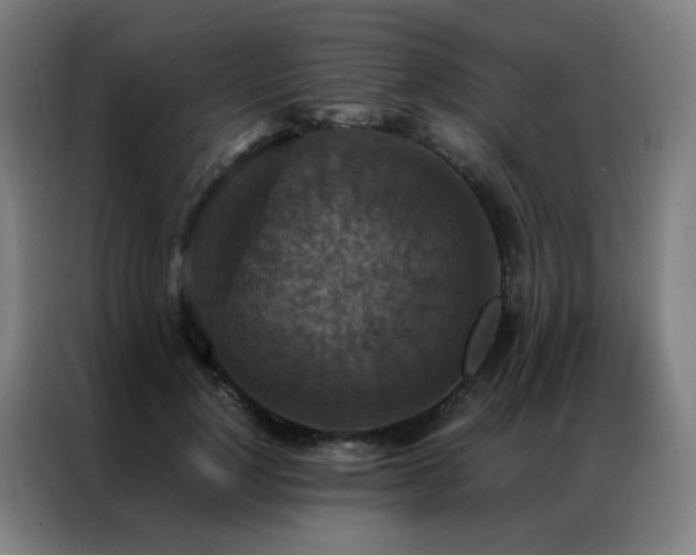 X0000087330748200704201127