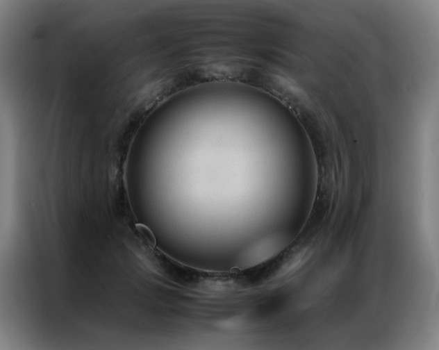 X0000087330749200704201127