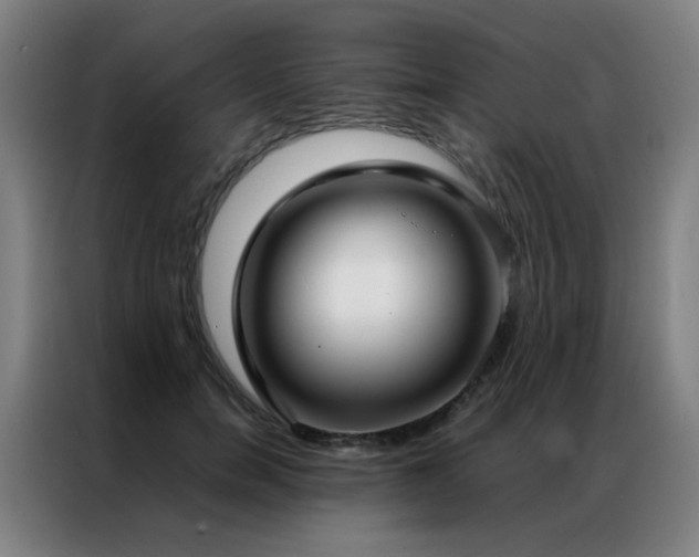 X0000087330750200704201127