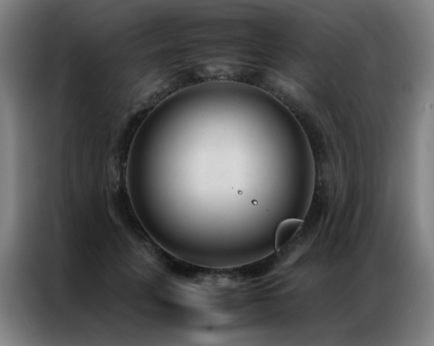 X0000087330751200704201127