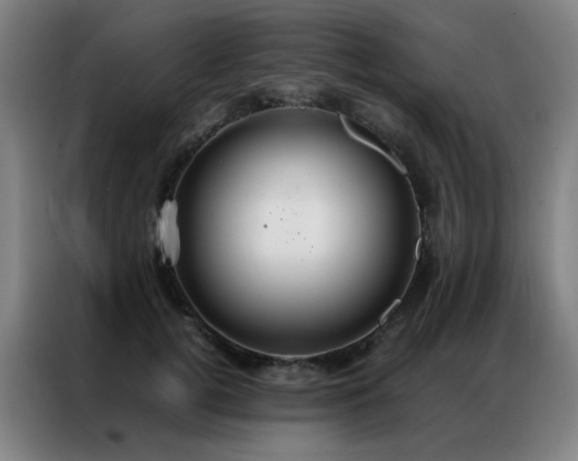 X0000087330752200704201127