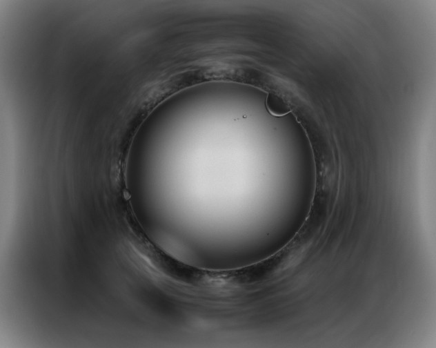 X0000087330753200704201128
