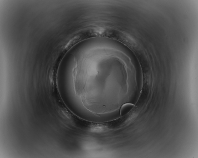 X0000087330754200704201128