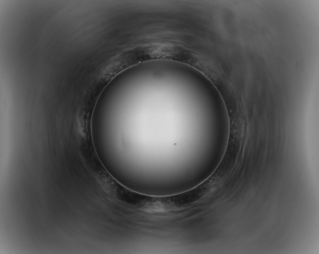 X0000087330755200704201128