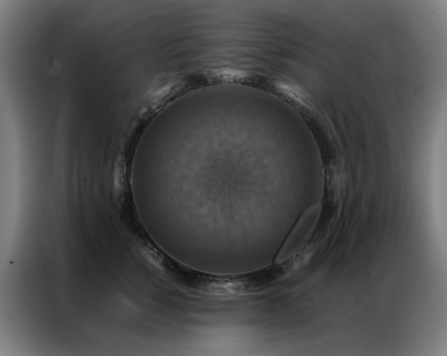 X0000087330760200704201128