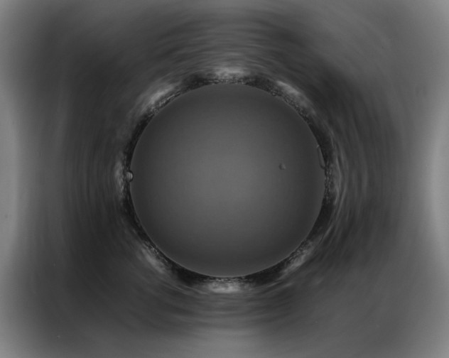 X0000087330762200704201128