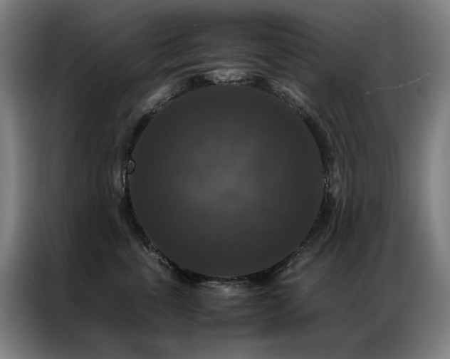 X0000087330763200704201128