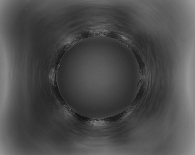 X0000087330767200704201128