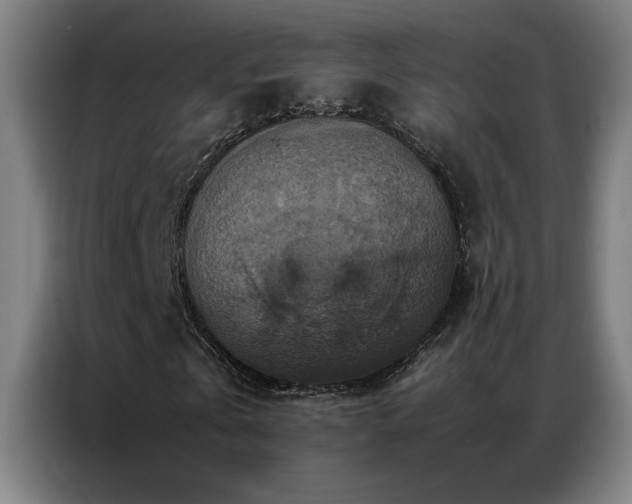 X0000087330769200704201127