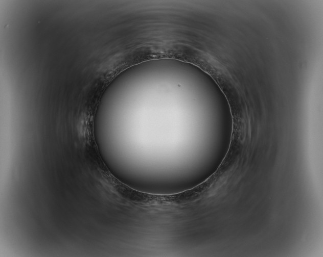 X0000087330770200704201127