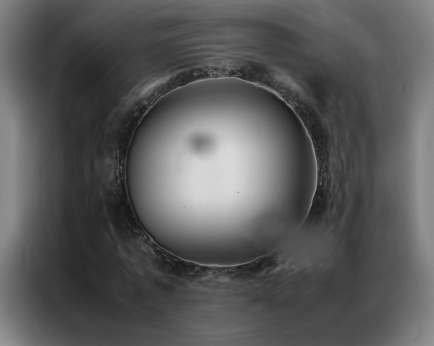 X0000087330773200704201127