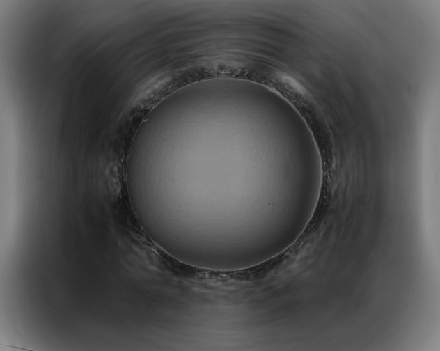 X0000087330774200704201127