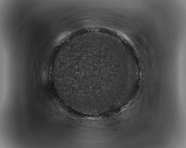 X0000087330775200704201127
