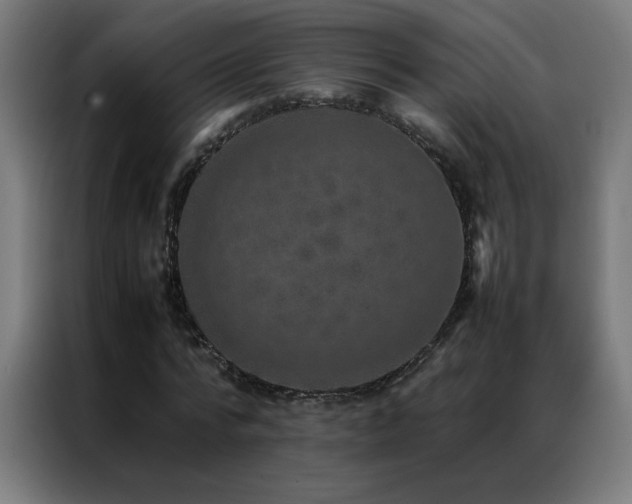 X0000087330776200704201127