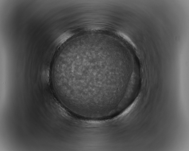 X0000087330777200704201127