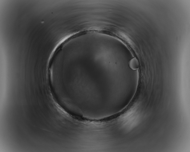 X0000087330779200704201127