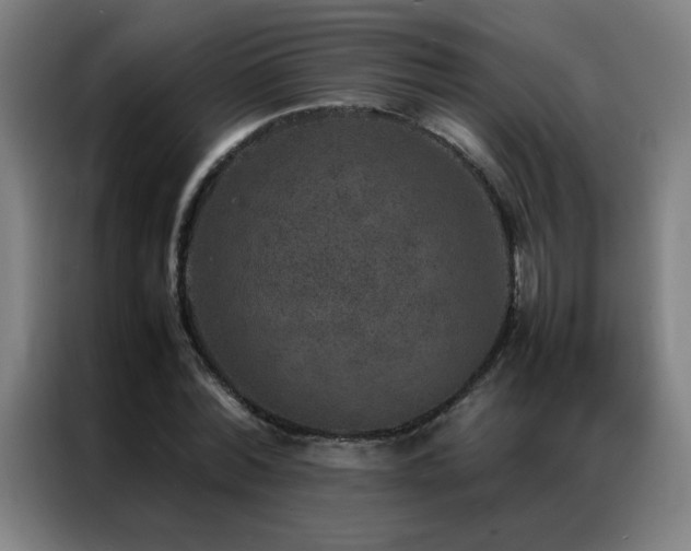 X0000087330780200704201127