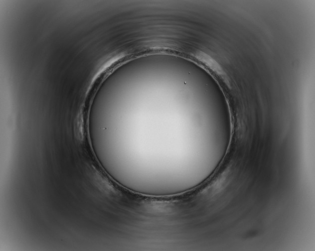 X0000087330782200704201127