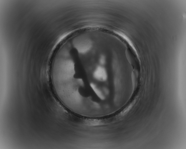 X0000087330783200704201127