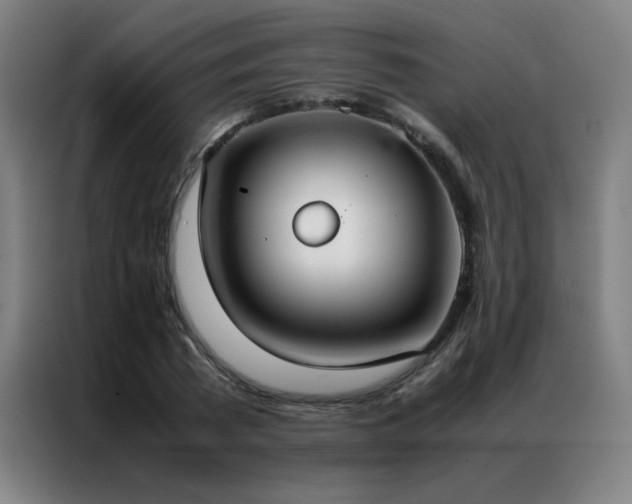 X0000087330785200704201127
