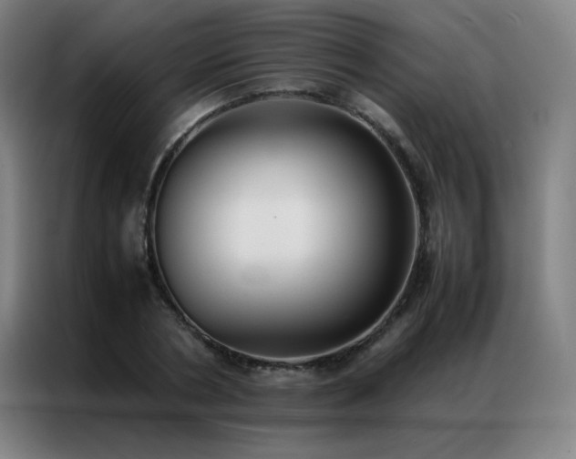 X0000087330786200704201127