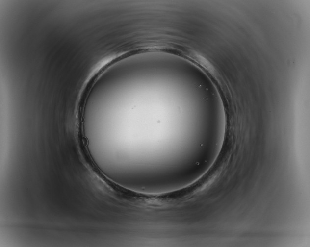 X0000087330787200704201127